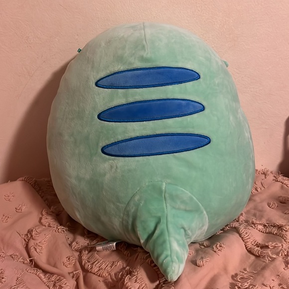 Abe, the bearded dragon - Picture 2 of 3